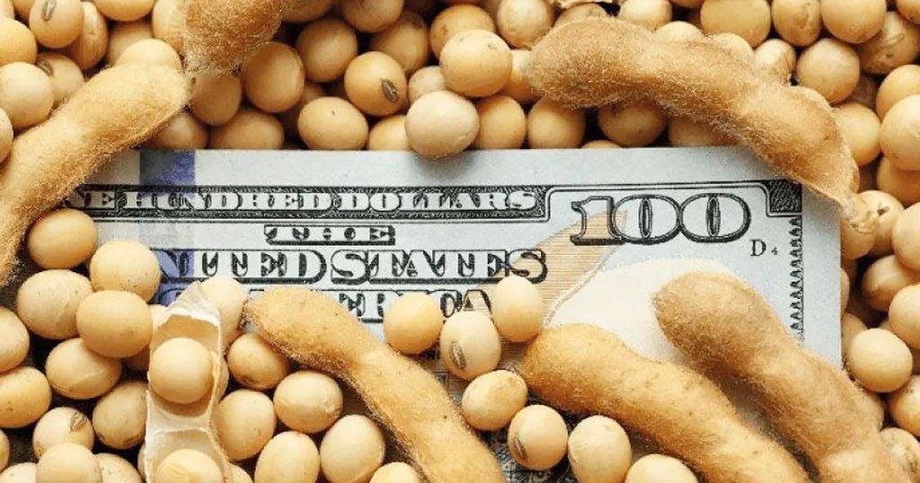 La competitividad agropecuaria sigue impactada por la carga impositiva elevada